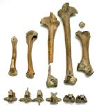 Click for more details.