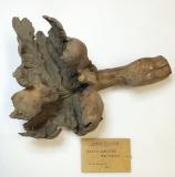 Click for more details.