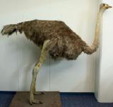 Click for more details.