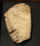 Click for more details.