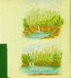 Click for more details.