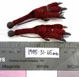 Click for more details.