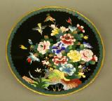 Click for more details.