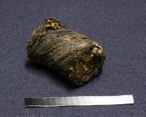 Click for more details.