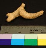 Click for more details.