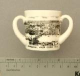 Click for more details.