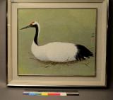 Click for more details.