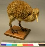 Click for more details.