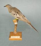 Click for more details.