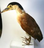 Click for more details.