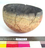 Click for more details.